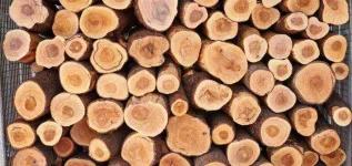 5.-Sandalwood-768x364.jpg