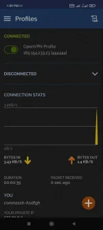 Screenshot_2022-03-21-13-09-21-441_net.openvpn.openvpn.webp
