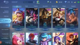 Screenshot_20210829-110139_Mobile Legends Bang Bang.webp