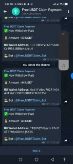 Screenshot_2022-03-23-02-45-27-258_org.telegram.messenger.web.webp