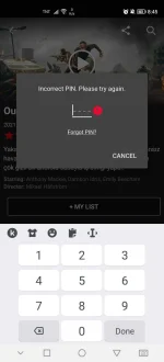 Screenshot_20220323_204541_com.netflix.mediaclient.webp