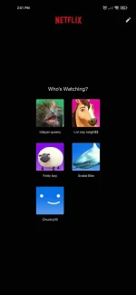 Screenshot_2022-03-24-14-01-44-134_com.netflix.mediaclient.webp