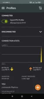 Screenshot_2022-03-25-09-13-40-153_net.openvpn.openvpn.webp