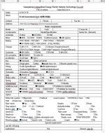 Word Form to Excel.webp