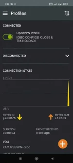 Screenshot_2022-03-25-13-38-49-360_net.openvpn.openvpn.webp