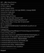 Screenshot_20220326-195325_HTTP Injector.webp