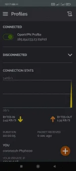 Screenshot_2022-03-30-10-17-50-223_net.openvpn.openvpn.webp