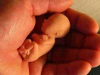 life_12weeks.webp life_12weeks.webp