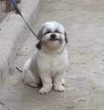 271739792_642523957060747_3740287267788347172_n.webp