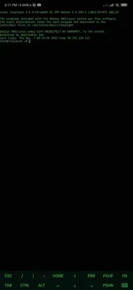 Screenshot_2022-04-07-16-11-25-446_com.sonelli.juicessh.webp