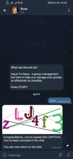 Screenshot_20220409_220353_org.telegram.messenger.webp