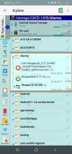Screenshot_20220410-080303_X-plore.webp