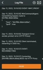 OpenVPN log: MagicIP OpenVPN log: MagicIP