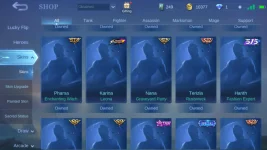 Screenshot_20220411-222412_Mobile Legends Bang Bang.jpg