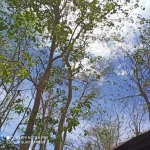 IMG_20220412_121112.webp