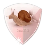 unnamed (2).png