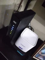 278048837_503870478109291_7030802839648092888_n.webp