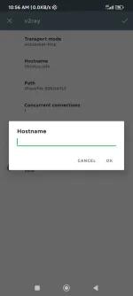 Screenshot_2022-04-17-10-56-06-423_com.github.shadowsocks.plugin.v2ray.webp