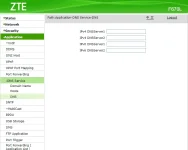 dns.webp