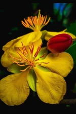 IMG_20220419_224823.webp IMG_20220419_224823.webp