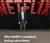 anetflix.webp