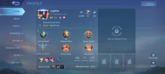 Screenshot_20220417_191226_com.mobilelegends.hwag.webp