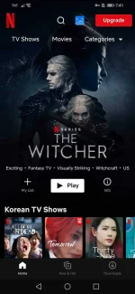 Screenshot_20220420_194129_com.netflix.mediaclient.webp