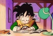 gohan.jpg