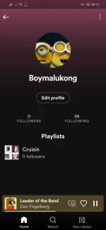 Screenshot_20220422_231523_com.spotify.music.webp