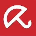 1650804919543.webp 1650804919543.webp