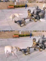 1651110157817.webp