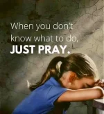 FB_IMG_16511148725108404.webp FB_IMG_16511148725108404.webp