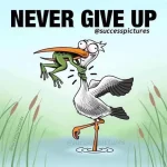 1651115221951.webp 1651115221951.webp