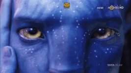 1651255347305.png