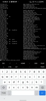 Screenshot_20220430-123822_Termux.webp