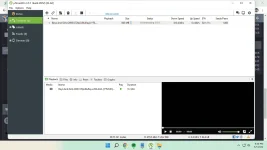 1651413055069.webp