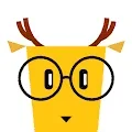1651416497401.webp