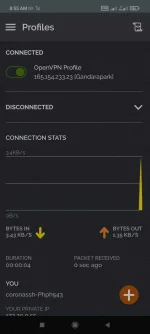 Screenshot_2022-05-02-08-56-00-091_net.openvpn.openvpn.webp