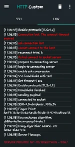Screenshot_20220503-110730_HTTP Custom.webp Screenshot_20220503-110730_HTTP Custom.webp