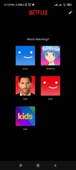 Screenshot_2022-05-03-12-15-10-088_com.netflix.mediaclient.webp
