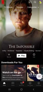 Screenshot_20220504-134244_Netflix~2.webp