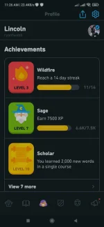 Screenshot_2022-05-06-11-26-28-078_com.duolingo.webp