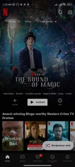 Screenshot_2022-05-08-01-33-06-656_com.netflix.mediaclient.webp