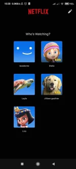 Screenshot_2022-05-09-10-30-46-662_com.netflix.mediaclient.webp