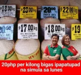 FB_IMG_1652354402530.webp