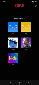 Screenshot_2022-05-13-20-57-31-919_com.netflix.mediaclient.webp