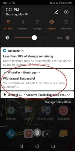 whalefin3.jpg