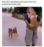 1653006109874.webp