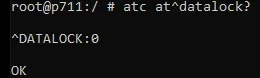 datalock.webp