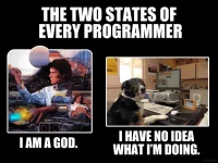 programmer.webp